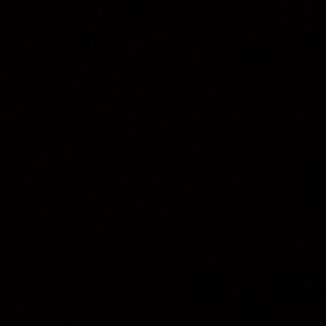 Meet your Posher, Jaden